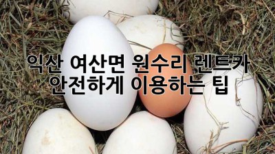 익산 여산면 원수리 렌트카 안전하게 이용하는 팁!